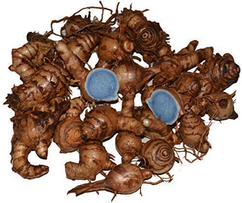 See full amazon price history chart for Creative Farmer Herbs Care Black Turmeric Plant Seeds Curcuma Caesia, Kali Haldi Rhizomes Medicinal Creative Farmer Herbs Care Black Turmeric Plant Seeds Curcuma Caesia, Kali Haldi Rhizomes Medicinal (B08Q8KW6G1) Amazon Price History, Amazon Price Tracker