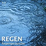 Waldregen - Ein Regensturm im Wald - beruhigendes Regen Geräusch und Waldvögel