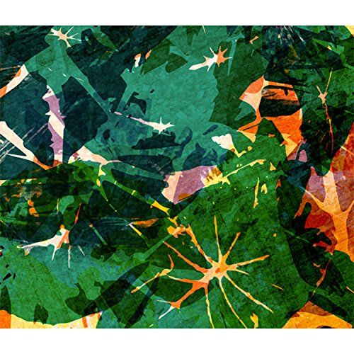 KING Calladium Remix Fine Art Print 19x17