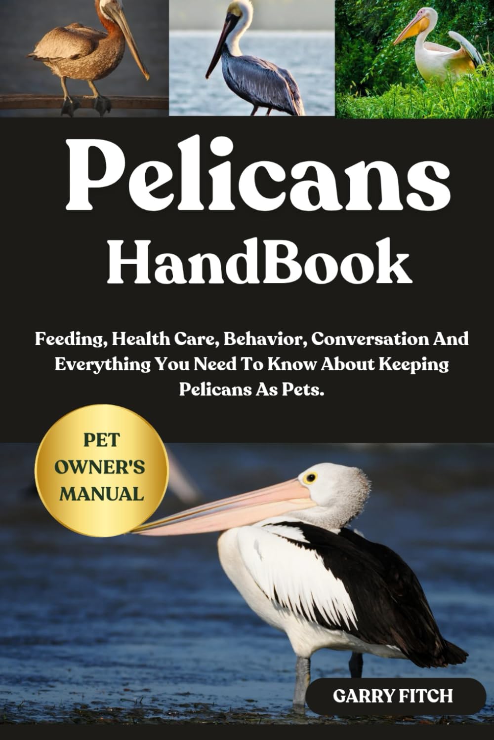 PELICANS HANDBOOK: Feeding, Health Care, Behavior, Conversation And Everything You Need To Know About Keeping Pelicans As Pets.