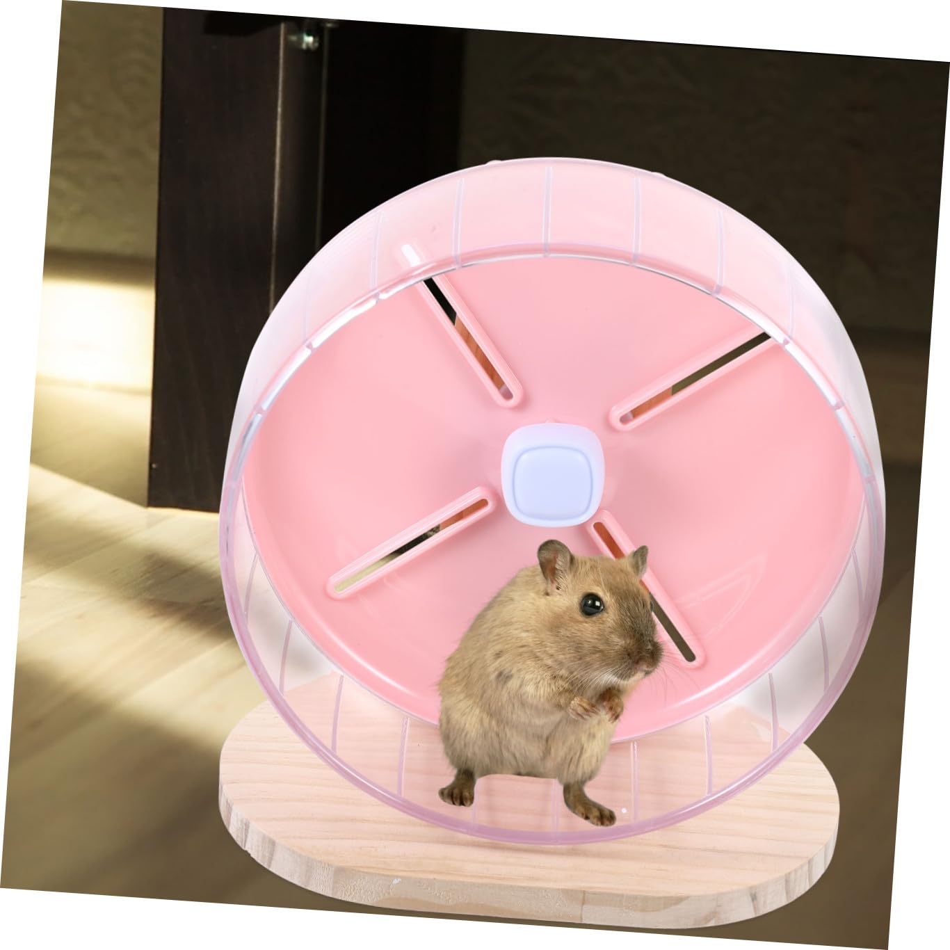 Beavorty Ruota Silenziosa per Criceti Adatta Topolini Gerbilli e Cincillà Pelosi Design Stabile e Compatto per Esercizi in Gabbia senza Rumore Notturno