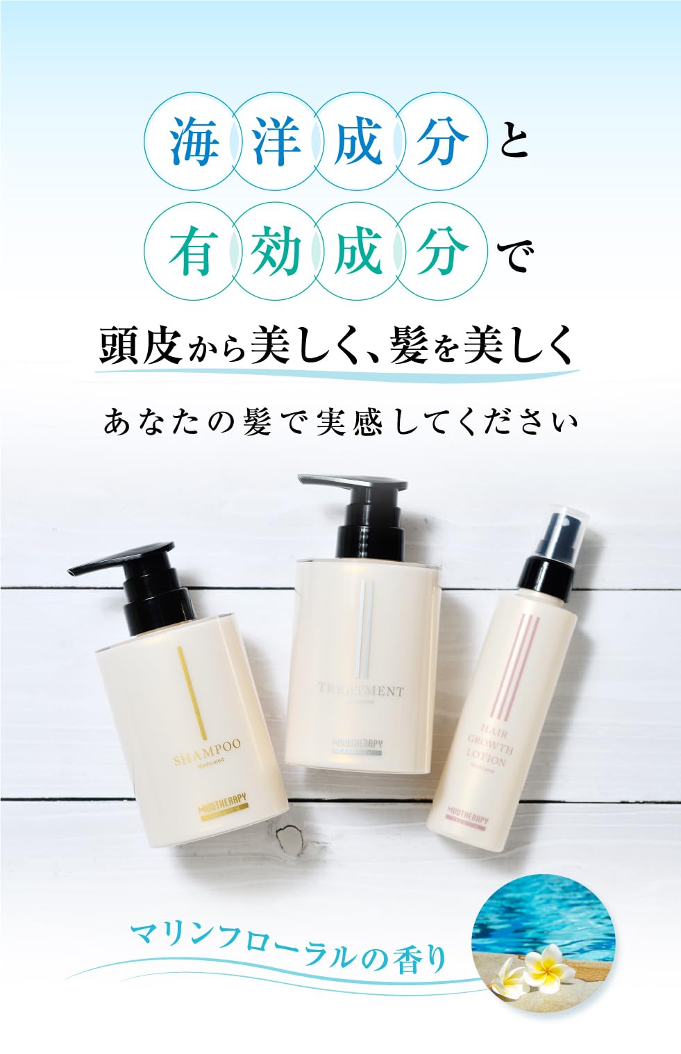 Amazon | プレミアムマッド シャンプー (医薬部外品) 300ml / 有効成分