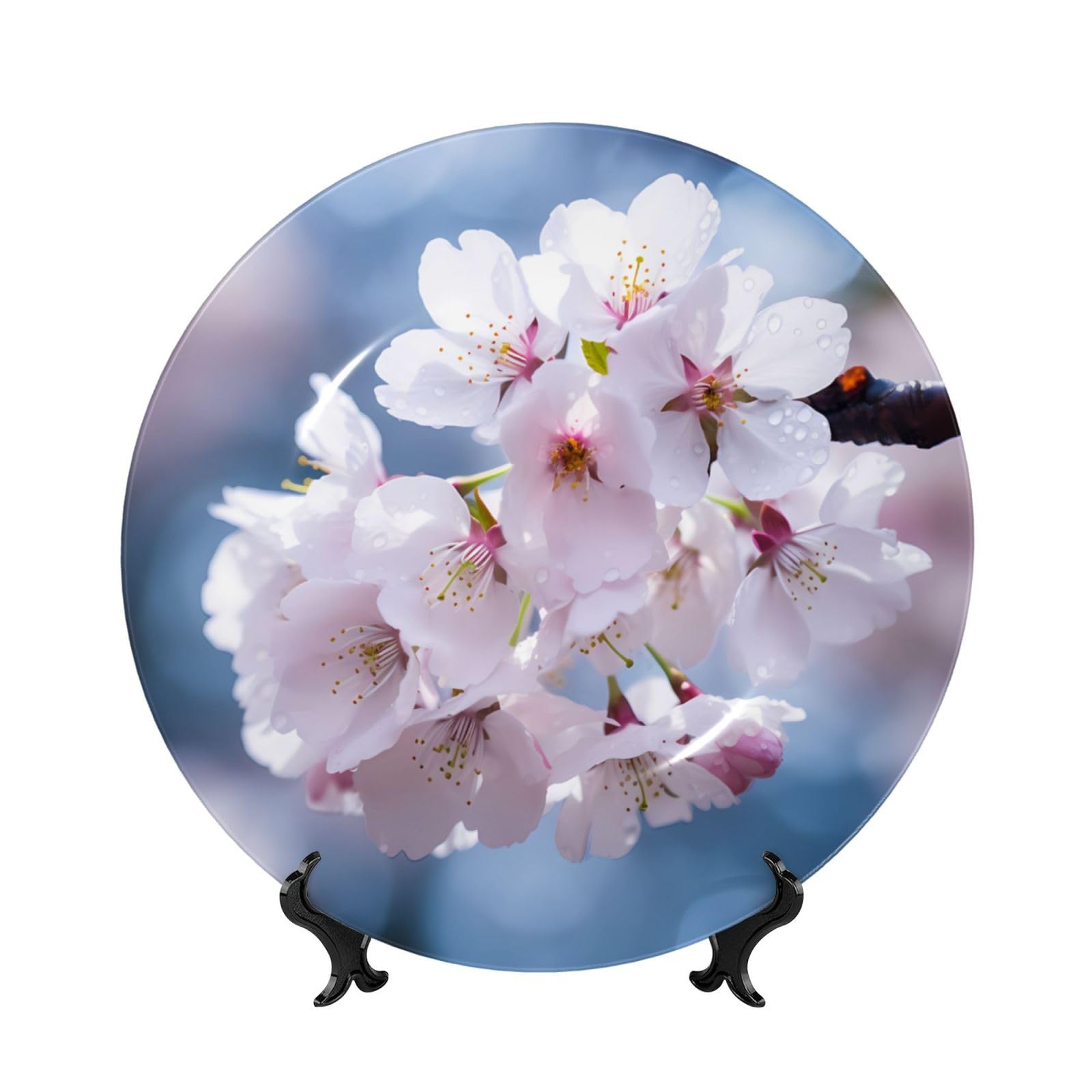 Plato decorativo de porcelana china japonesa de 10 pulgadas de POEZJZW para mesa