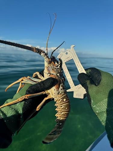 Professional Marine Measuring Tool, Stainless Steel Gauge for Lobster, Crab, Oyster, Clam with Gas Cap Opener image 5
