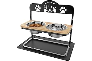 Elevated Dog Bowls, The Essential Dining Set for Your Pawesome Friends