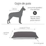 Ver la foto 5