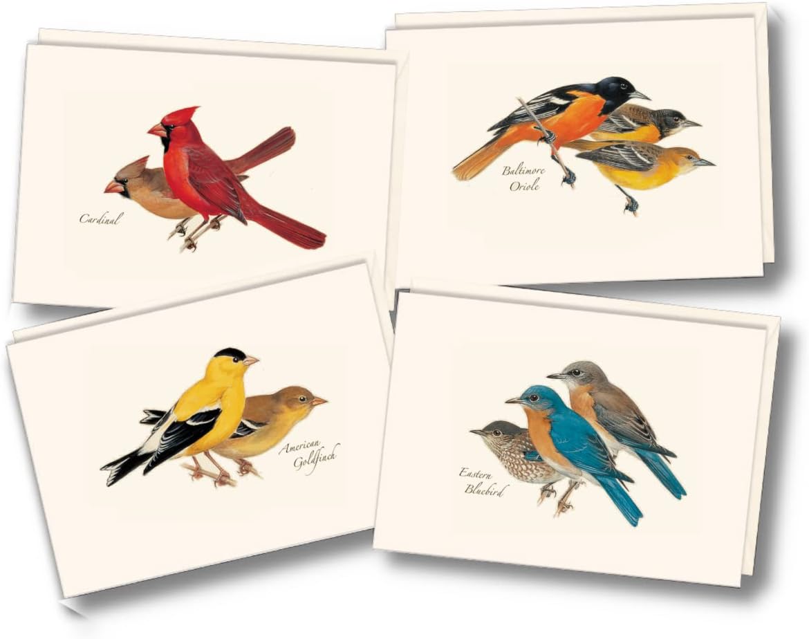 Earth Sky + Water - Peterson's Bird Assortment I Notecard Se t- 8 Blank Cards with Envelopes (2 each of 4 styles)