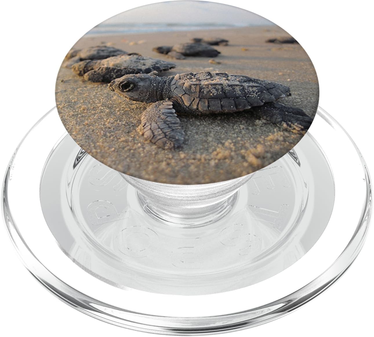 Pop out Cell Phones holder Ocean beach Sea Turtles PopSockets MagSafe PopGrip for iPhone