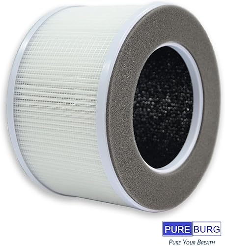 Miniatura 7 de PUREBURG Filtro de repuesto AP10-F3 compatible con purificador de aire Greenote AP10, paquete de 2 filtros H13 HEPA de 4 etapas de carbón activado 2