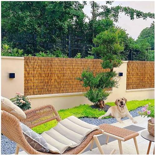 �|�t�F���V���O �|�̃v���C�o�V�[ �t�F���X �X�N���[���̎��R�ȃ��[���A�����I�Ȓ�̍�̃p�e�B�I�̃v���C�o�V�[ �p�l���A���A����ё����̂��߂̊��ɗD�����|�̍�(160x1000cm(5.2x32.8ft))