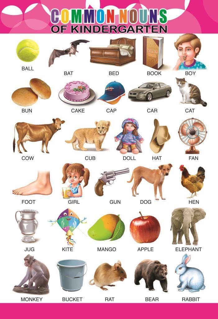 Eoi Marketing Common Nouns Wall Charts - Extremely Usefull For Growing Kids | Laminated Chart |Paper Size (13 * 19 Inch) | Paper Print (Rolled With Safety Tube)-image-34