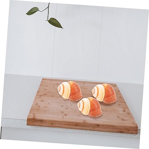 Miniatura 4 de BESPORTBLE 5pcs Natural Escargot Snail Shells Large Conch Shells for Baking Hermit Crab Habitat Heat Insulation Snail Shells for Restaurant