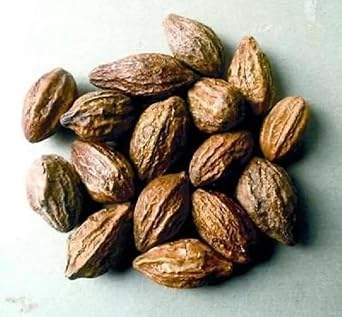 Whole Harde Terminalia Chebula/Haritaki/Black Myrobalan Free UK P&P 100g