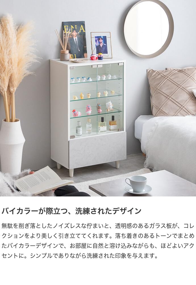 Amazon.co.jp: 家具350: コレクションケース