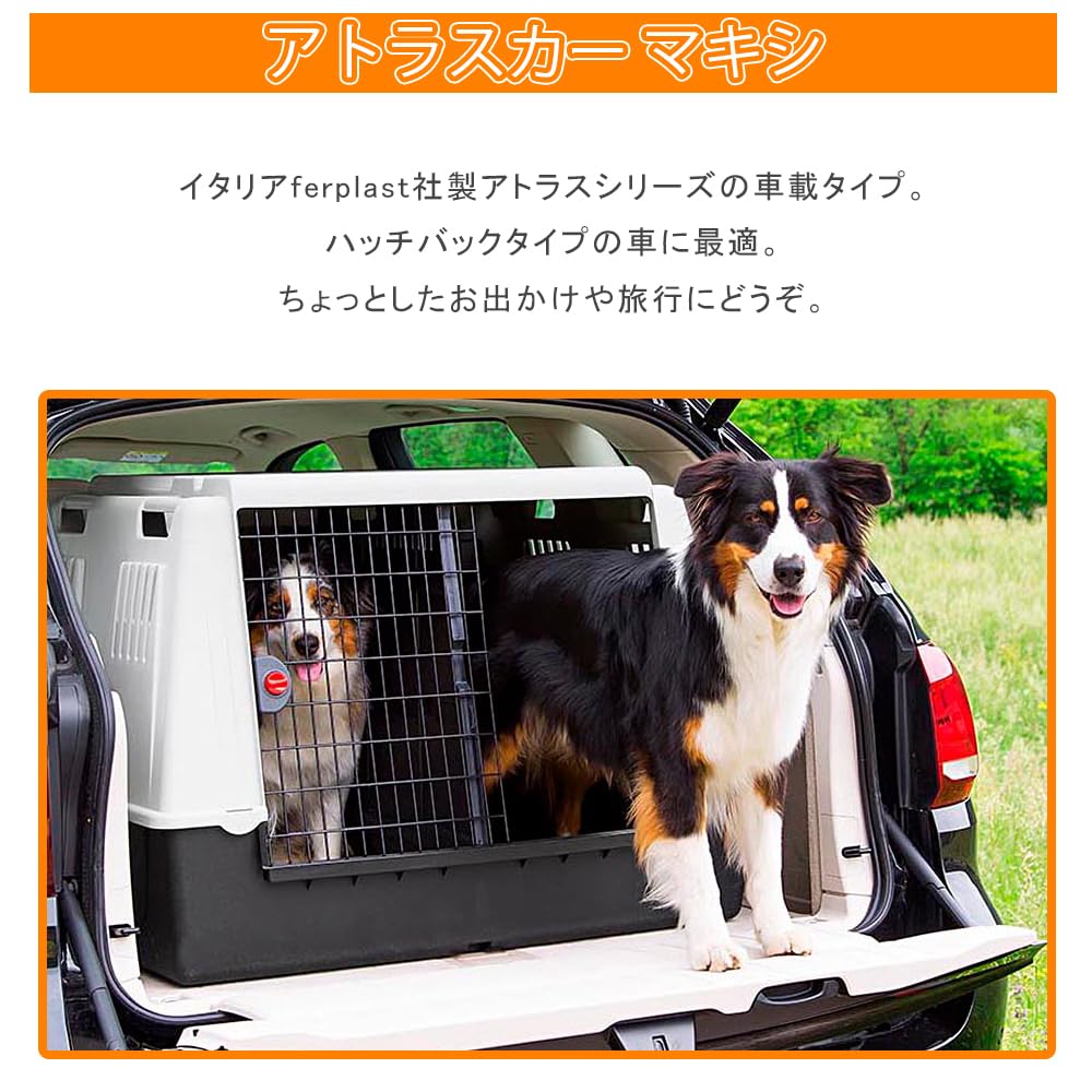 ファープラスト アトラス CAR MAXI 大型犬用 Amazon | ファープラスト アトラス 100 大型犬用 | ファープラスト