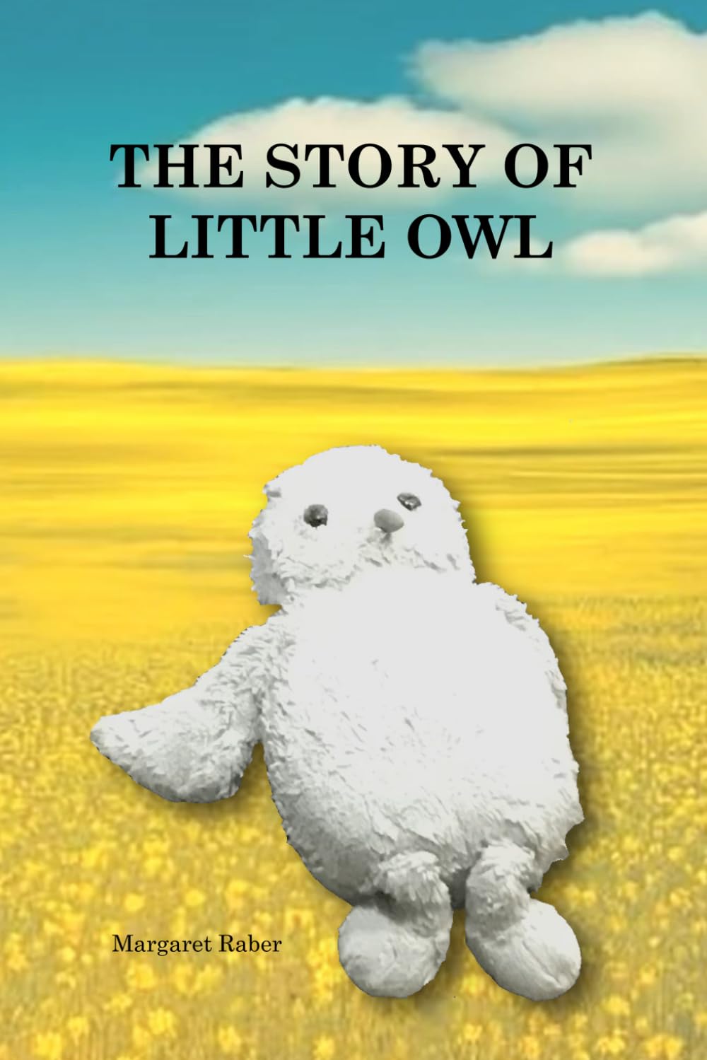 The Story of Little Owl: A special friend to a little girl