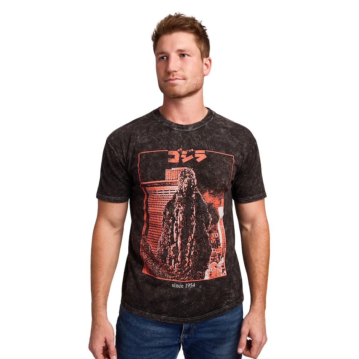 Bioworld Godzilla Kanji Title Art Men's Black Cloud Wash Short Sleeve Tee