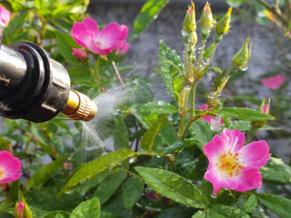 Nested Greens - Natural Plant Protectors - Vegetables, Fruits, Garden Flowers, Indoor & Outdoor Plants (250ml)