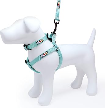 Pawtitas Value Bundle Set | Extra Extra Small Dog Collar + Extra Extra Small Step in Dog Harness + Extra Extra Small Dogs & Cats 6ft Leash - Teal Set