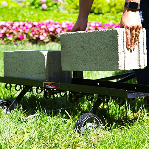 Brinly Dt-402Bh-A Tow Behind Dethatcher With Preassembled Tines & Transport Mode, 40" #TOP5