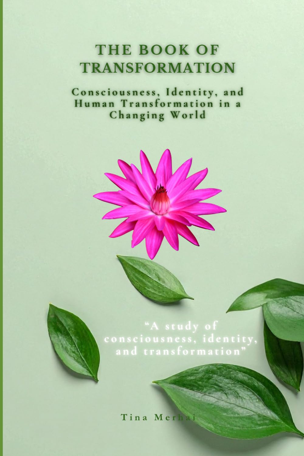 THE BOOK OF TRANSFORMATION: Consciousness, Identity, and Human Transformation in a Changing World