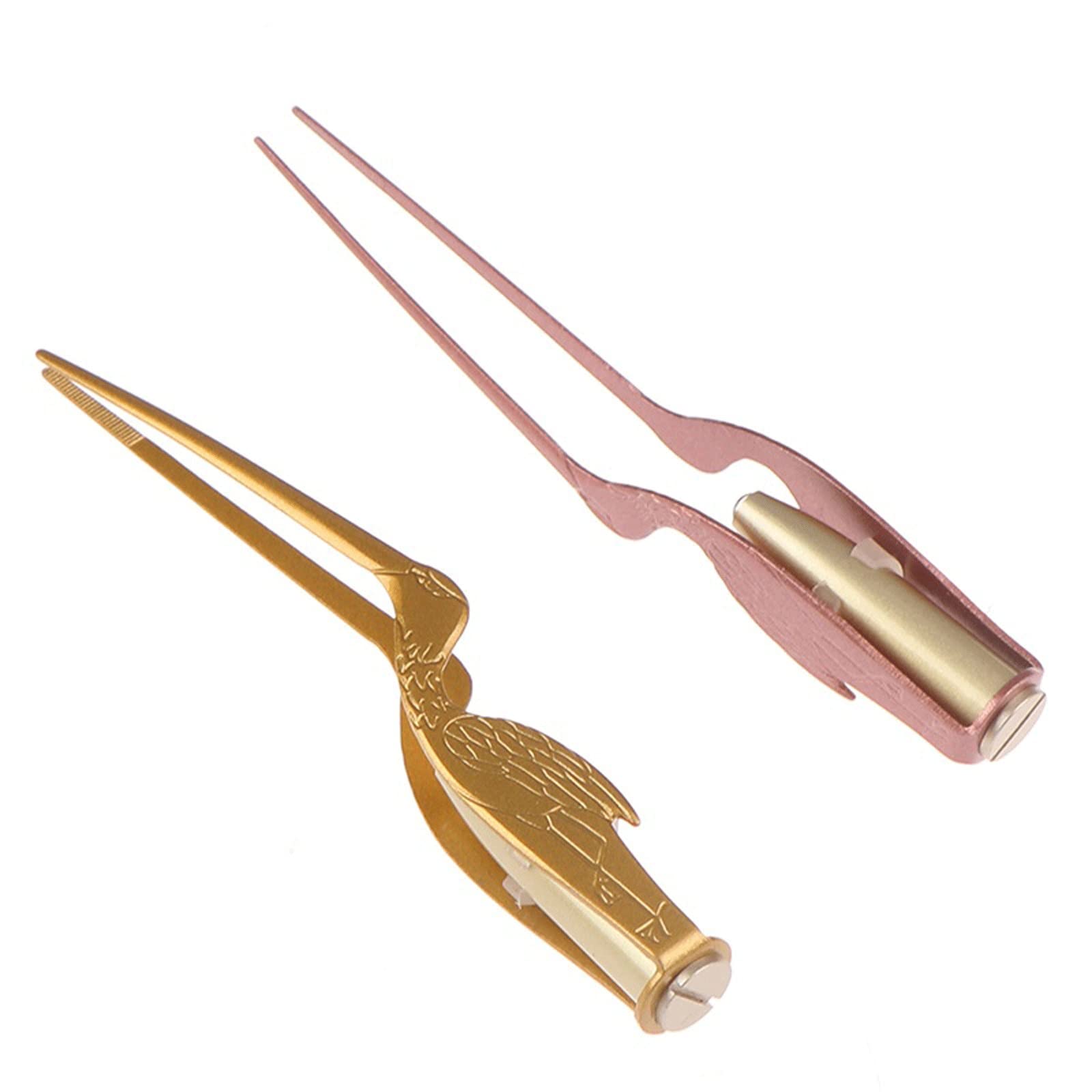 Produits pour l'élimination du cérumen, pincettes Auriculaires, Lampe de Poche LED, Outil de Nettoyage des Oreilles, Nez, pincettes en acie