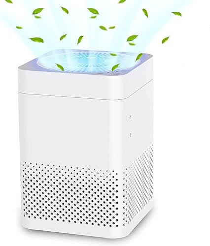 Purificadores de aire para el hogar 3 en 1 True HEPA filtro de aire de habitación grande, filtro de humo Air Choice, reduce la caspa de mascotas,