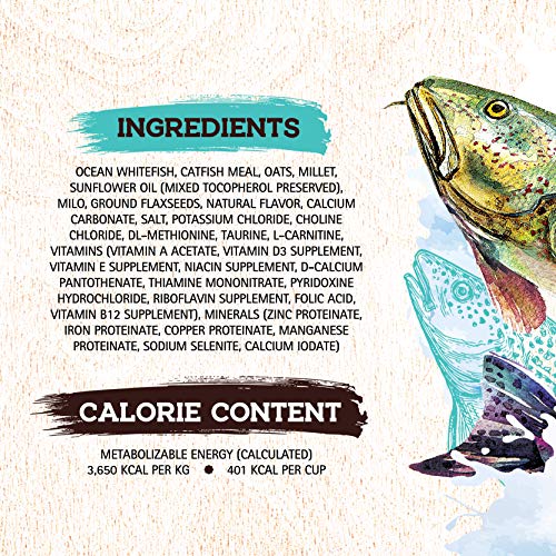 Inception® Dry Dog Food Fish Recipe – Complete and Balanced Dog Food – Legume Free Meat First Dry Dog Food – 4 lb. Bag (13278)