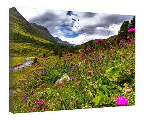 Toile encadrée bois Belle montagne art mural finition premium 40x50 cm