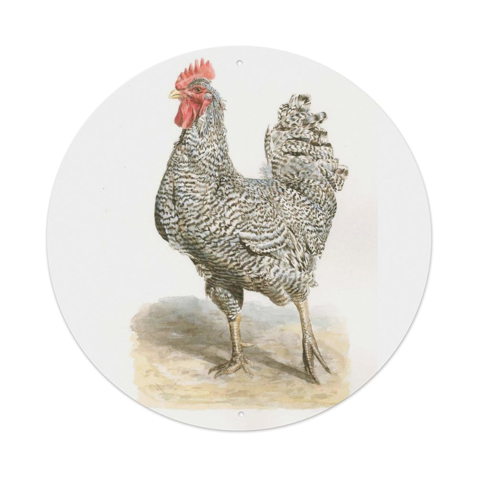 Animal Artwork Native Chicken Vintage Metal Tin Sign Plaque Wall Decor for Cafe, Club Bar, Office, Garden Metal Poster 8x8Inch