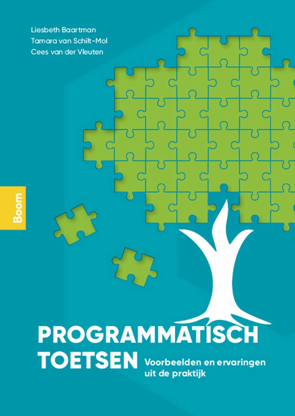 Programmatisch toetsen: voorbeelden en ervaringen uit de praktijk