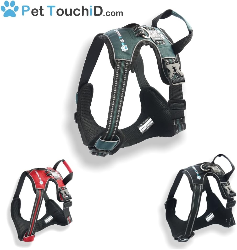 Integrated SMART ID, Reflective, Secure Dog Harness (Medium, Dark Teal)