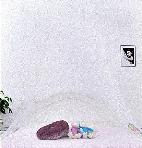 Golf 1Pcs Mosquito Nets, Insect Bug Protection Bed Canopy Elegant Lace Hanging Curtain, Ideal For Home Travel (White) #TOP1
