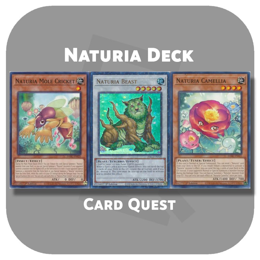 Amazon.com: Generic Complete Custom Deck for Yu-Gi-Oh!