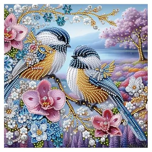 hill froeistung Special Shape Magpies Diamond Art Painting Kits for Adults