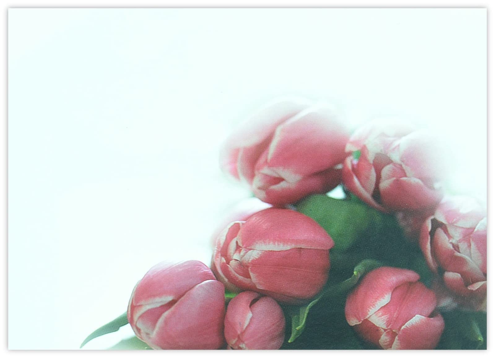 celloexpress Blank (7 Pink Tulips) Flower Message Cards - 90mm x 125mm - Blank Florist Card Gift Notes (Pack of 24) — image 1