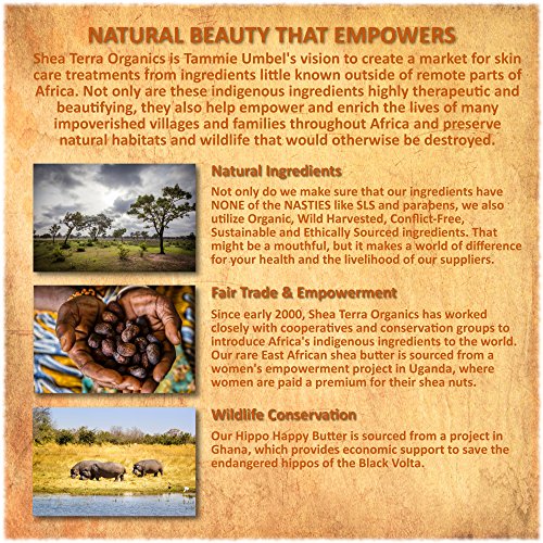 Shea Terra Organics SB 100% Organic Cold-Pressed Virgin Shea Butter thumb #6