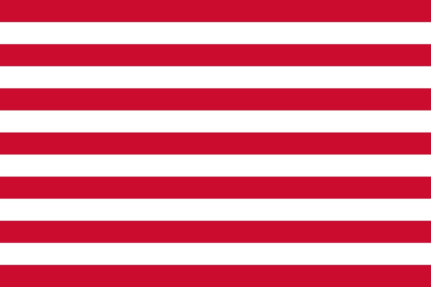 Drapeau Goes grand format anti-décoloration pour mât extérieur