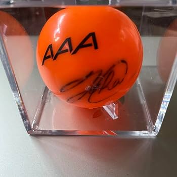 Nissyサイン Amazon.co.jp: 西島隆弘 直筆サイン色紙 Nissy にっしー AAA