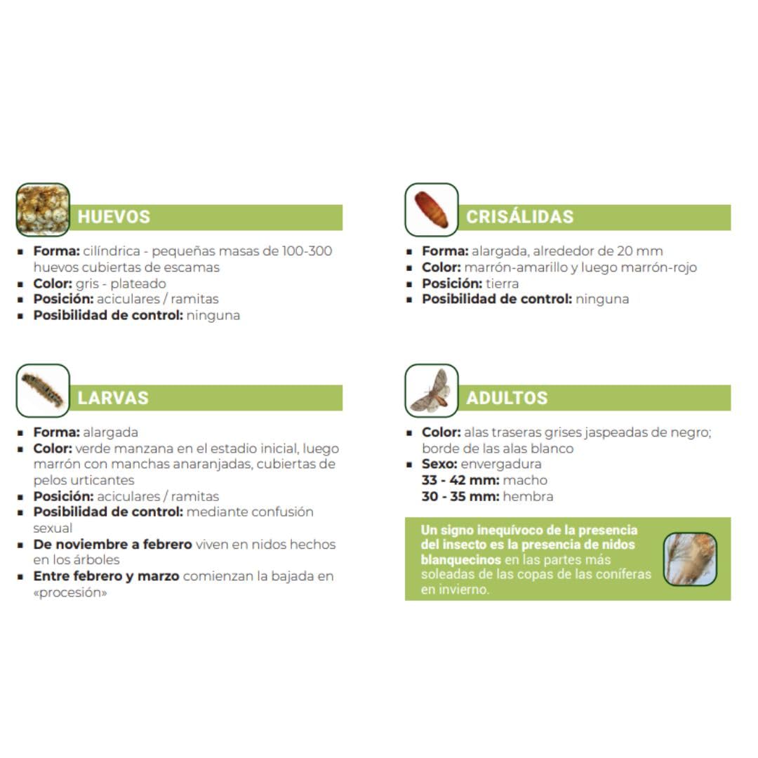 Trampa Procesionaria del Pino Profesional | Kit Completo + guia Instalación | hasta 140 cm de Perímetro | Sistema Ecológico de Alta Eficacia contra la Oruga Procesionaria (ECOLOGICO, 1.0, Unidad)
