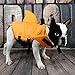Snik-S Dog Life Jacket- Preserver with Adjustable Belt, Pet Swimming Shark Jacket for Short Nose Dog (Pug,Bulldog,Poodle,Bull Terrier) (M, Orange)