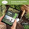 Cool Weather Garden Seeds Collection | Fall & Spring Planting – Grow Broccoli, Kale, Lettuce, Spinach & Cilantro | Cold Hardy Winter Vegetables – Survival Garden Seeds #5