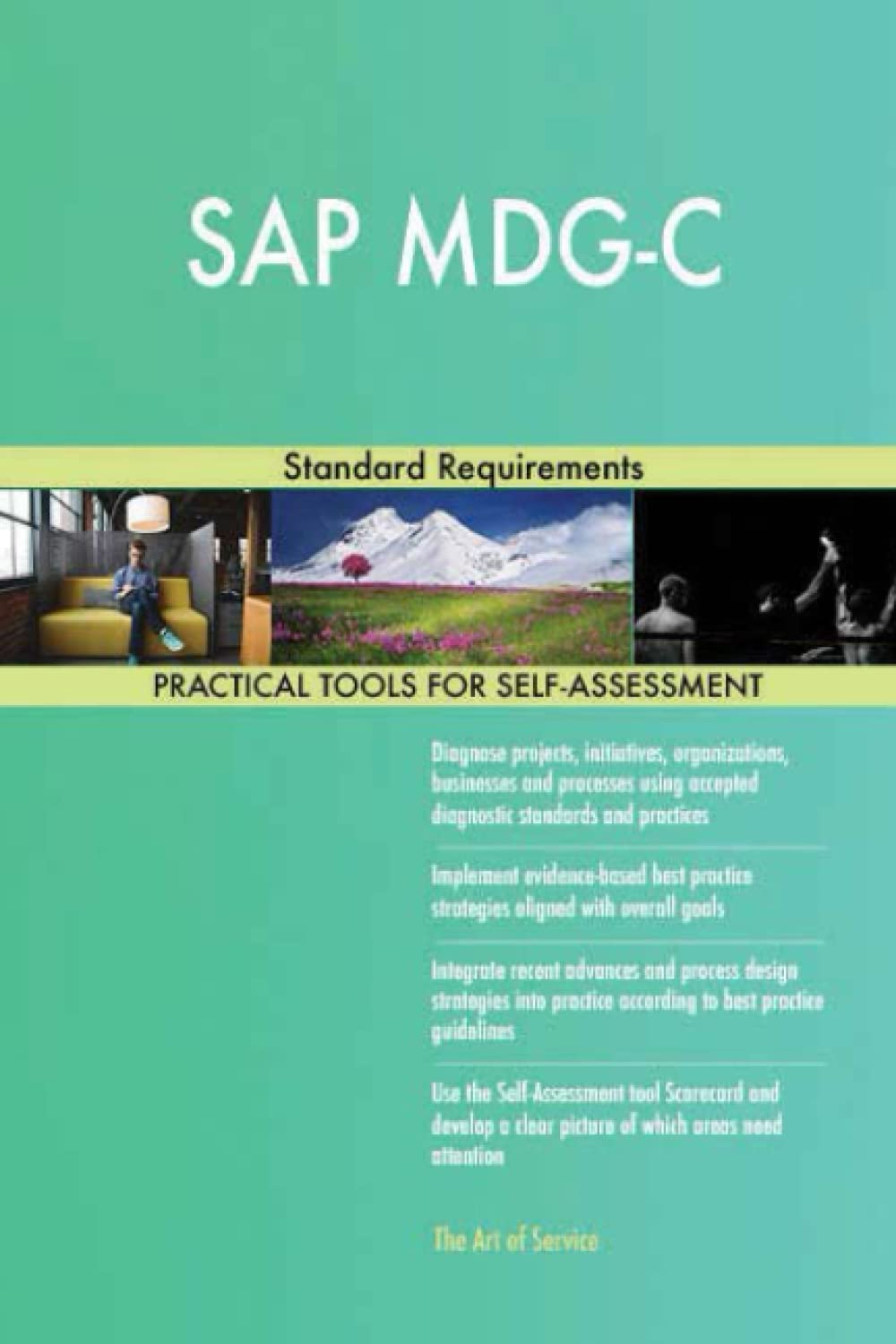 SAP MDG-C Standard Requirements
