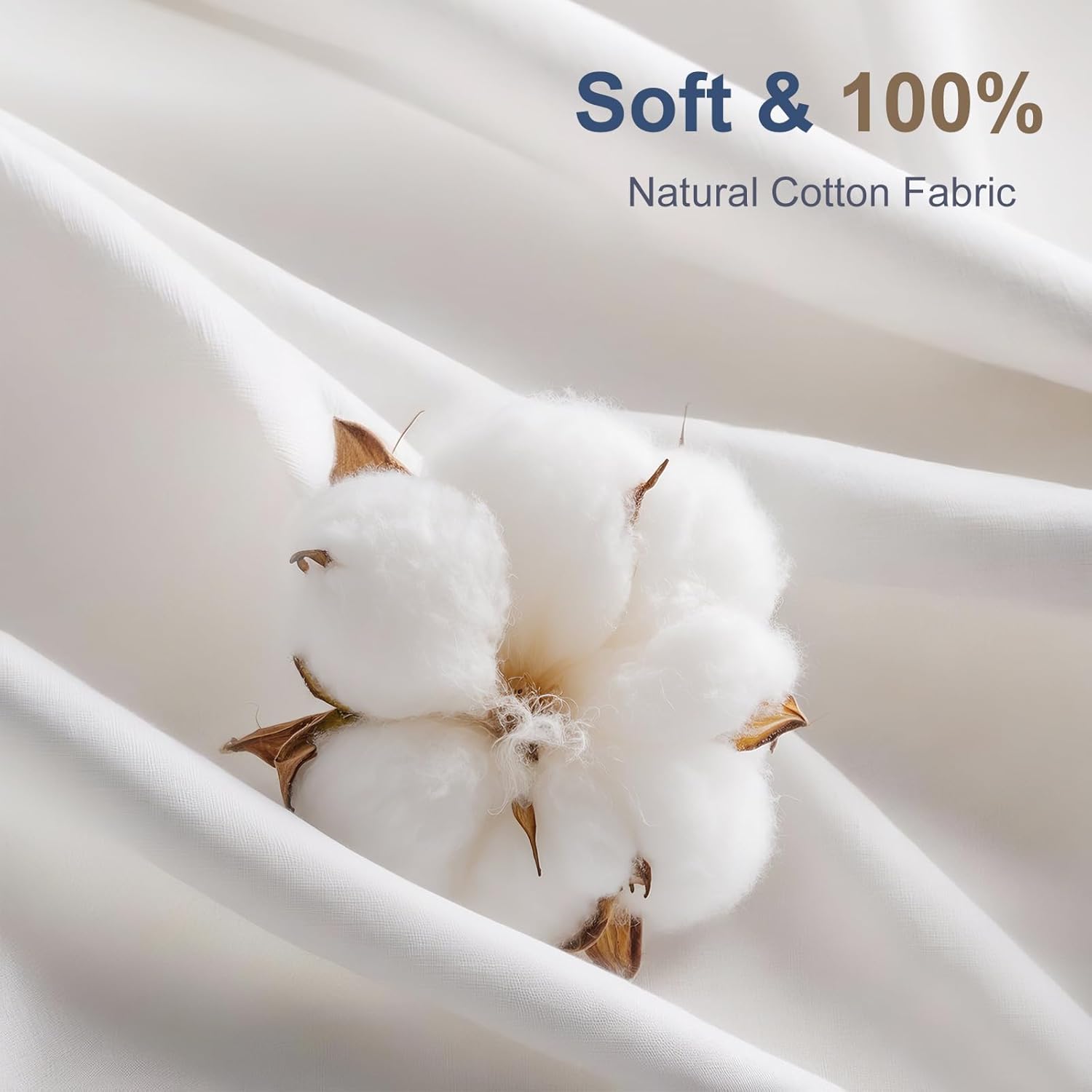 Transform Your Space: Lewondr Premium 12x20 Pillow Inserts Review