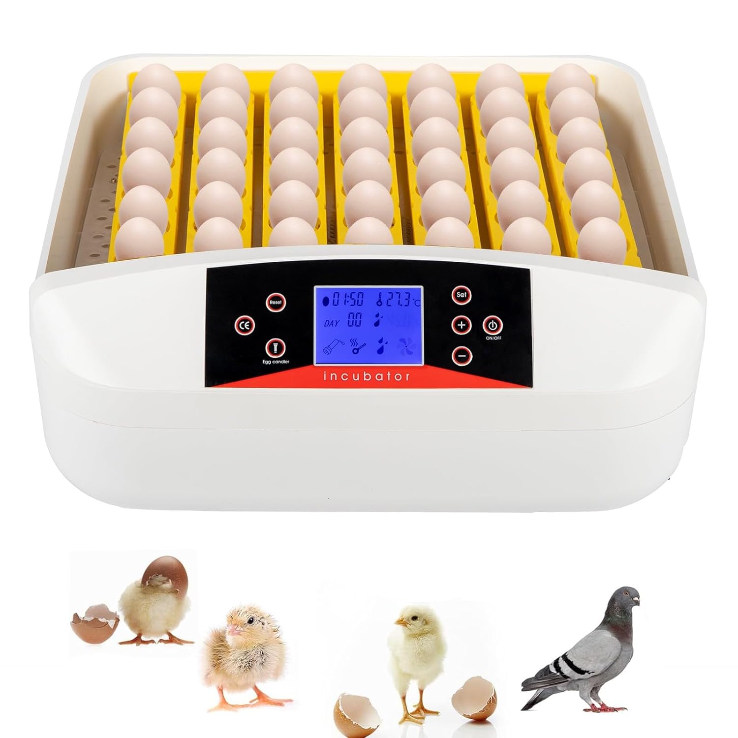 WGM新登場孵化卵用孵卵器、LEDライト付き42/56個自動孵卵
