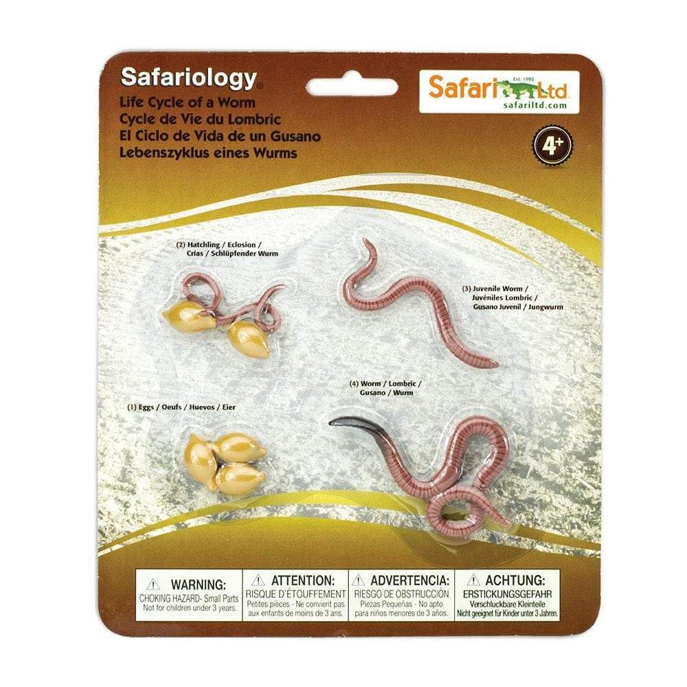 Life Cycle of a Worm - 4 Mini Worm Figurines Toy Set for Kids