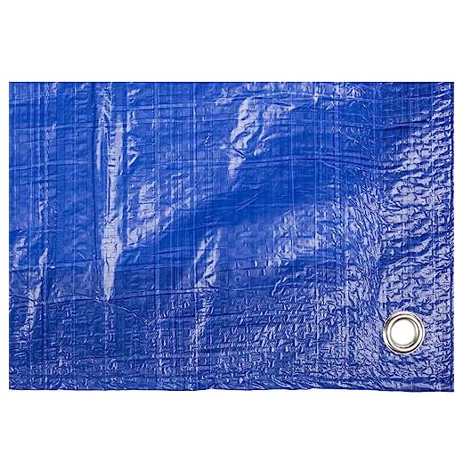TOLDO Reforzado Polietileno Azul 90 GR