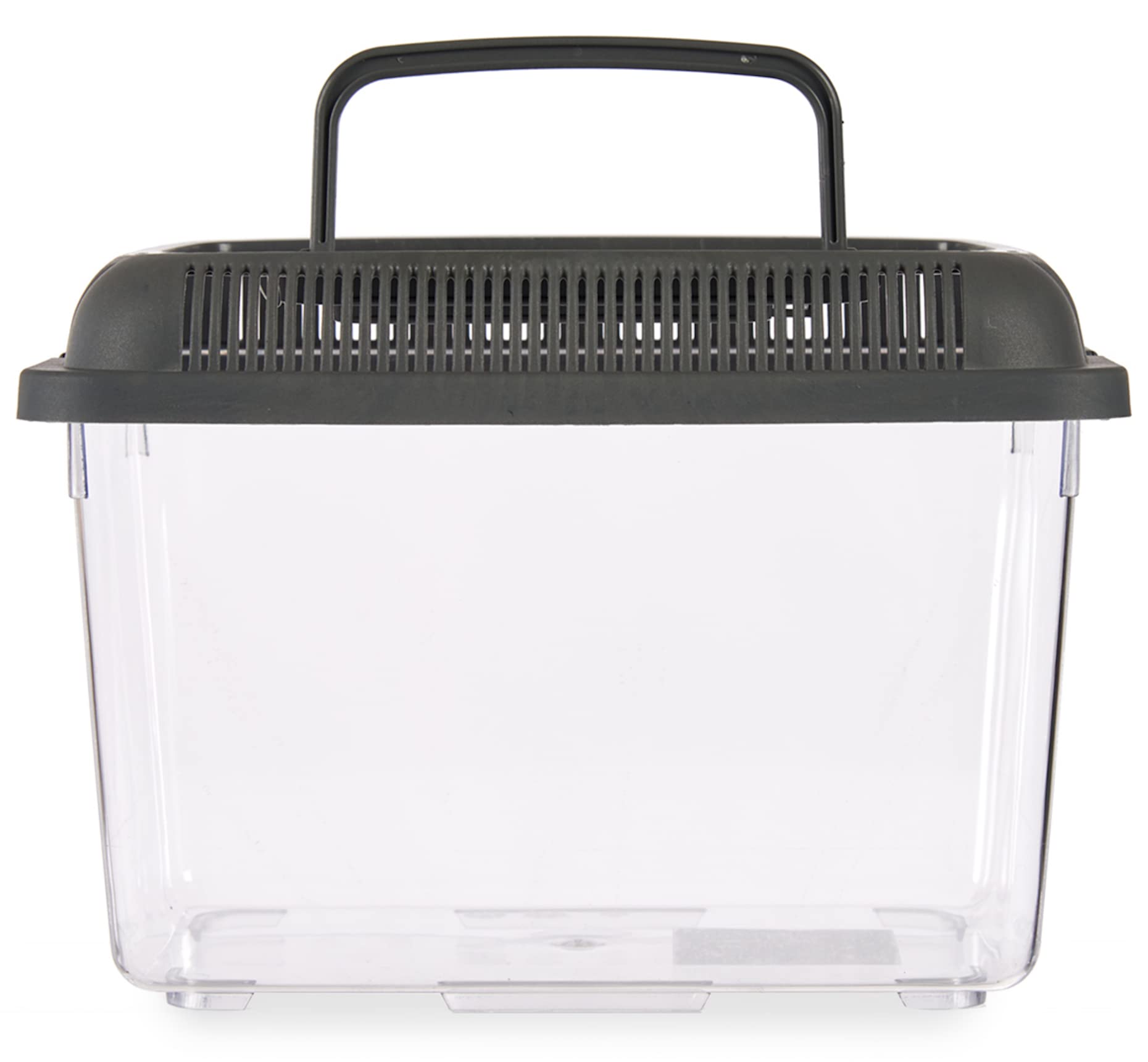 TIENDA EURASIA® Pecera de Plastico Resistente con Asas y Tapa Desmontable - Pecera Rectangular Transparente y Tapa de Color - Medida (24 x 17 cm, Antracita)