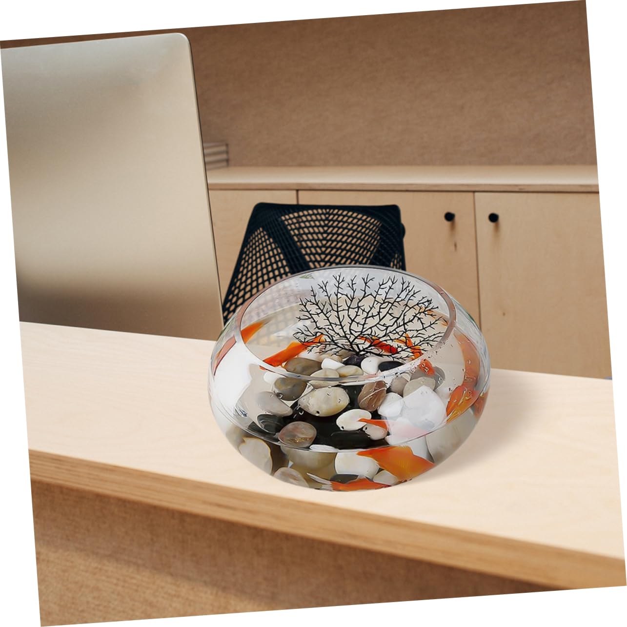 BESPORTBLE 3piezas Bola De Transparente para y Pecera para y Terrario para Decoración De Bodas y