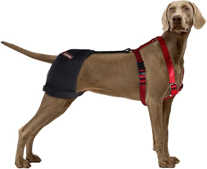 KERBIY LISPOO Dog Hip Brace Support for Hip Dysplasia, Luxating Patella
